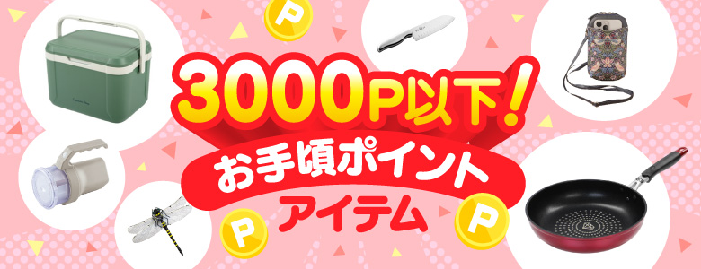 ⑨3,000P以下「お手頃ポイント」アイテム