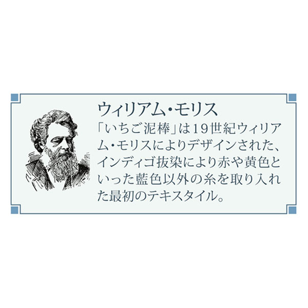 モリス　7days　バッグイン